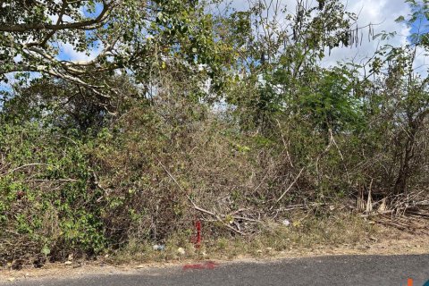 Land in Ungasan, Badung, Indonesia No. 11148