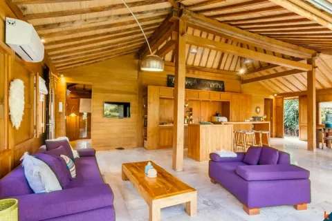 2 bedrooms Villa in Canggu, Badung, Indonesia No. 10411 12