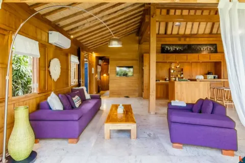 2 bedrooms Villa in Canggu, Badung, Indonesia No. 10411 3