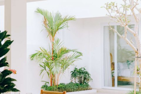 3 bedrooms Villa in Canggu, Badung, Indonesia No. 181 29