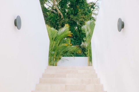 3 bedrooms Villa in Canggu, Badung, Indonesia No. 181 6