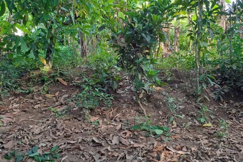 2650m2 Land in Tabanan, Indonesia No. 180 6
