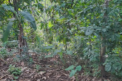 2650m2 Land in Tabanan, Indonesia No. 180 7