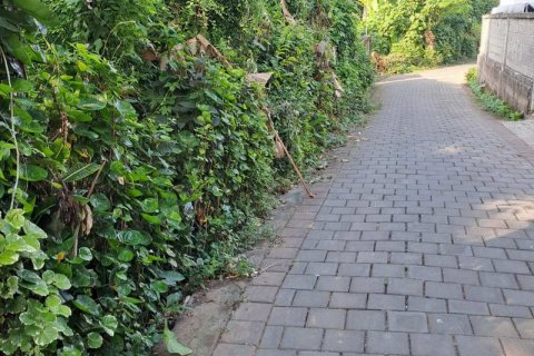 2650m2 Land in Tabanan, Indonesia No. 180 3