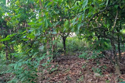 2650m2 Land in Tabanan, Indonesia No. 180 8