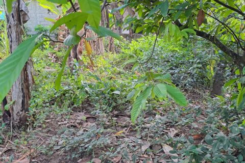 2650m2 Land in Tabanan, Indonesia No. 180 10