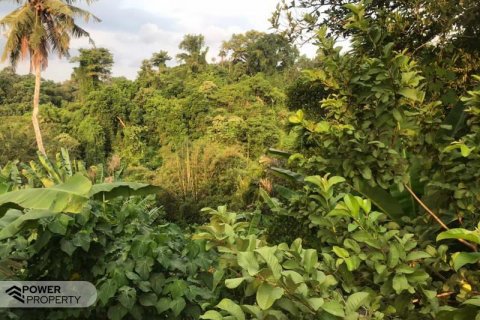 2400m2 Land in Tabanan, Indonesia No. 179