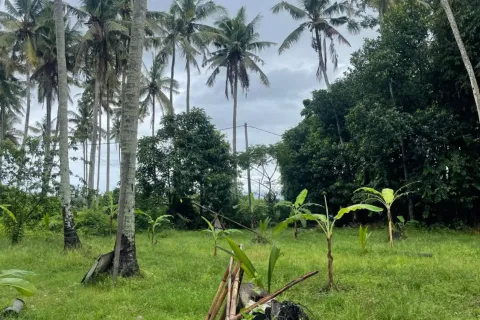 Land in Kediri, Indonesia No. 10200 7
