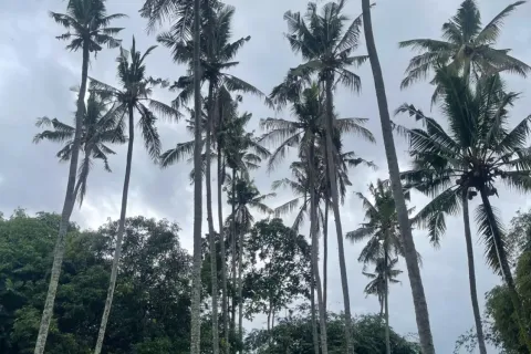 Land in Kediri, Indonesia No. 10200 3