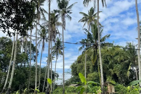Land in Kediri, Indonesia No. 10200