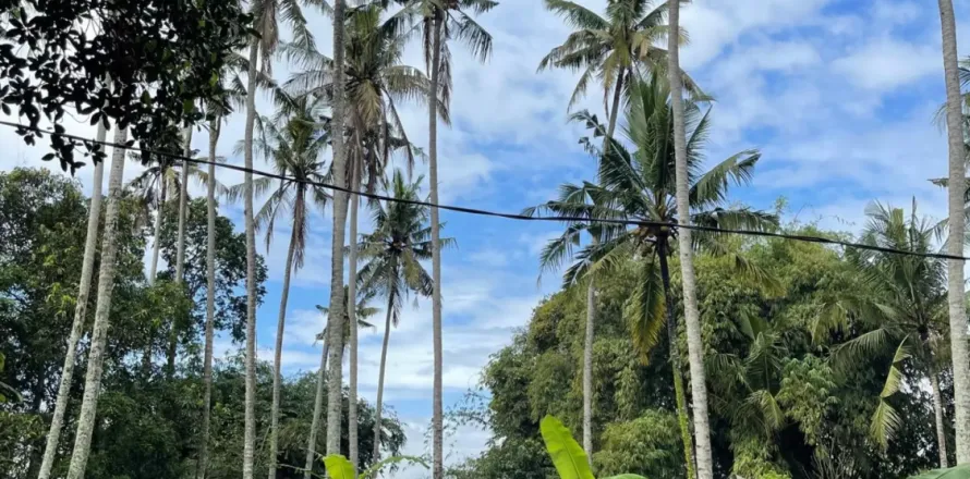 Land in Kediri, Indonesia No. 10200