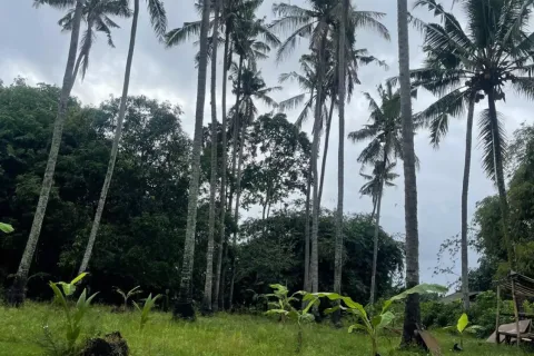 Land in Kediri, Indonesia No. 10200 2
