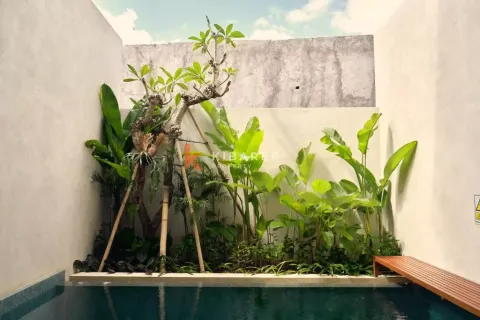 2 bedrooms Villa in Tumbak Bayuh, Mengwi, Badung, Indonesia No. 12156 2