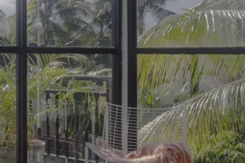 2 bedrooms Villa in Ubud, Gianyar, Indonesia No. 10616 19