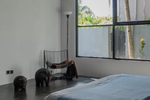2 bedrooms Villa in Ubud, Gianyar, Indonesia No. 10616 10