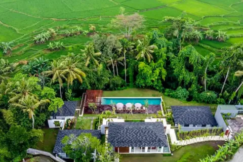 5 bedrooms Villa in Ubud, Gianyar, Indonesia No. 10620 4