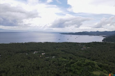 Land in Karangasem, Karang Asem, Indonesia No. 11595 6