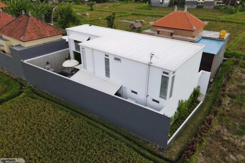 Вилла с 3 спальнями в Gianyar, Гианьяр, Индонезия № 6621 10