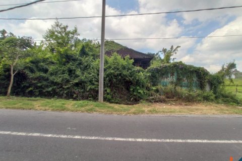 Land in Tabanan, Indonesia No. 11657