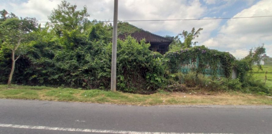 Land in Tabanan, Indonesia No. 11657