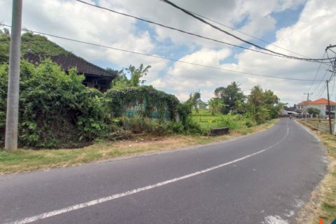 Land in Tabanan, Indonesia No. 11657 3