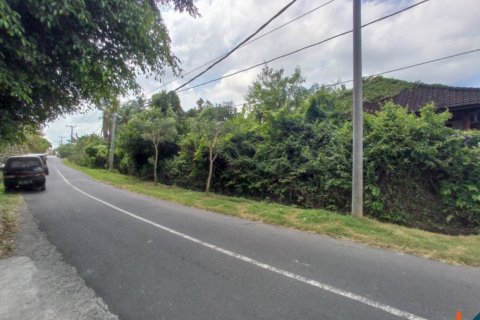 Land in Tabanan, Indonesia No. 11657 2