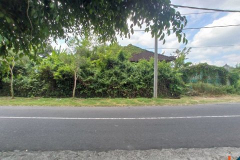 Land in Tabanan, Indonesia No. 11657 4