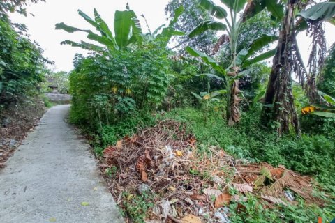 Land in Tabanan, Indonesia No. 11658 2