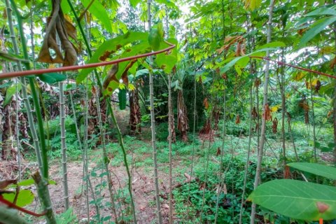 Land in Tabanan, Indonesia No. 11658 5