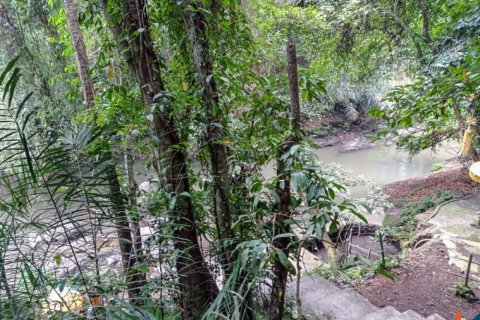 Land in Tabanan, Indonesia No. 11658 3