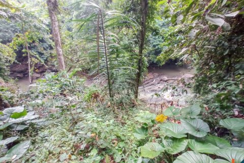 Land in Tabanan, Indonesia No. 11658 10
