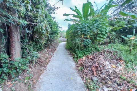 Land in Tabanan, Indonesia No. 11658 7