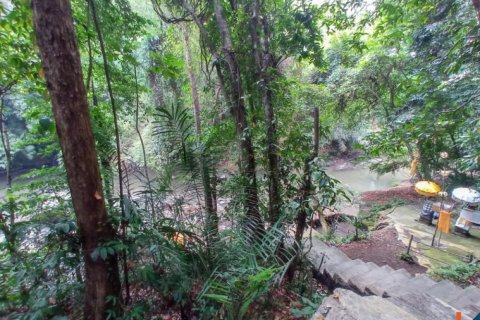 Land in Tabanan, Indonesia No. 11658 4