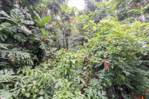 Land in Tabanan, Indonesia No. 11658 8