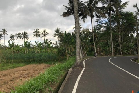 Land in Mengwi, Badung, Indonesia No. 11654 4