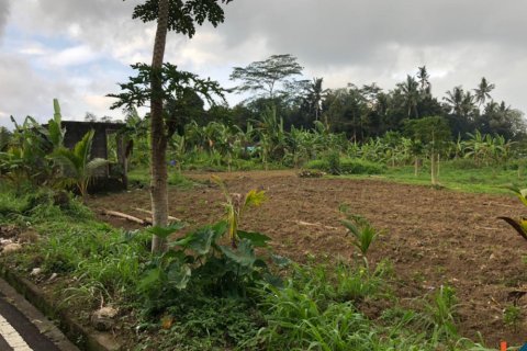 Land in Mengwi, Badung, Indonesia No. 11654 3