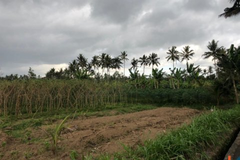 Land in Mengwi, Badung, Indonesia No. 11654