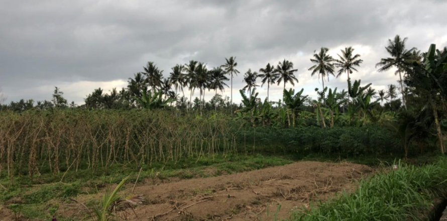 Land in Mengwi, Badung, Indonesia No. 11654