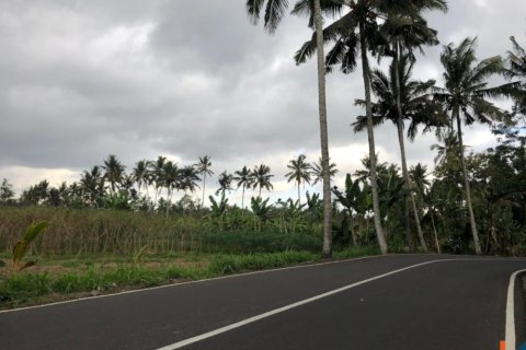 Land in Mengwi, Badung, Indonesia No. 11654 2