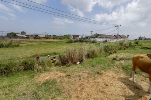 Land in Tabanan, Indonesia No. 11656 5
