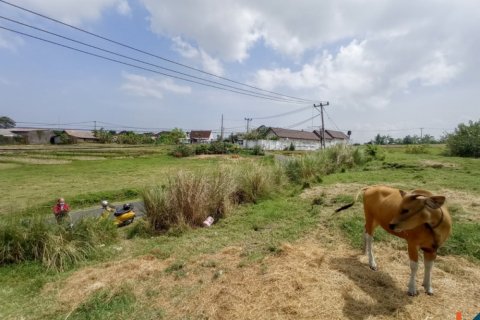 Land in Tabanan, Indonesia No. 11656 4