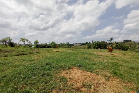 Land in Tabanan, Indonesia No. 11656