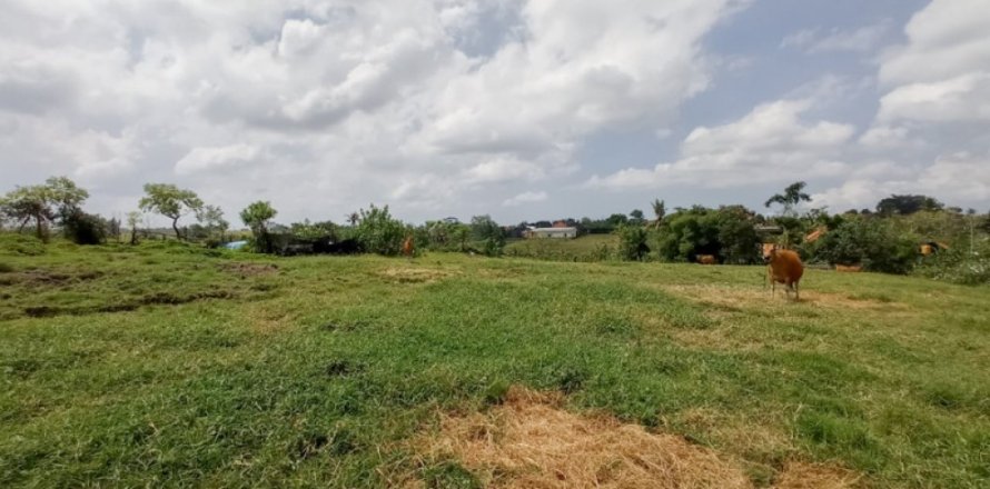 Land in Tabanan, Indonesia No. 11656