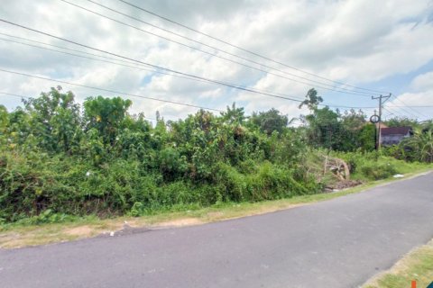 Land in Tabanan, Indonesia No. 11656 8