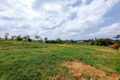 Land in Tabanan, Indonesia No. 11656 6