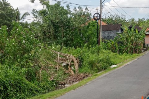 Land in Tabanan, Indonesia No. 11656 7