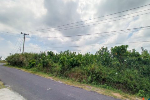 Land in Tabanan, Indonesia No. 11656 9