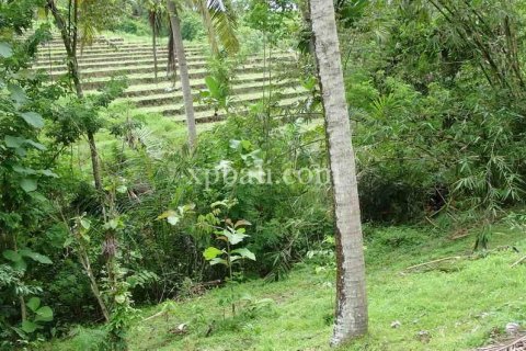 2690m2 Land in Tabanan, Indonesia No. 443 2