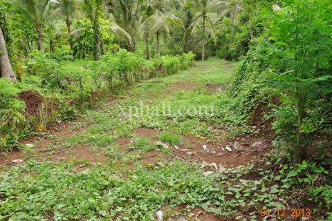 2690m2 Land in Tabanan, Indonesia No. 443 5