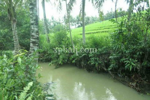 2690m2 Land in Tabanan, Indonesia No. 443 6